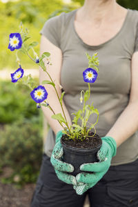 Midsection of woman holding flower pot at community garden