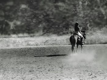 Rear view of man riding horse on field