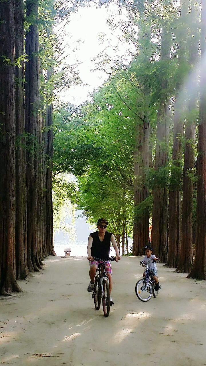 transportation, bicycle, mode of transport, land vehicle, tree, men, riding, lifestyles, full length, the way forward, leisure activity, rear view, street, road, walking, on the move, tree trunk, cycling