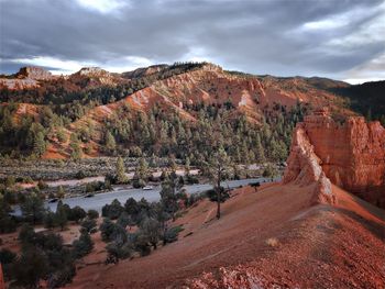 Rock formations and trees at red canyon