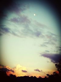 Low angle view of silhouette trees against sky at sunset