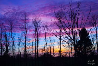 Silhouette bare trees against sky during sunset