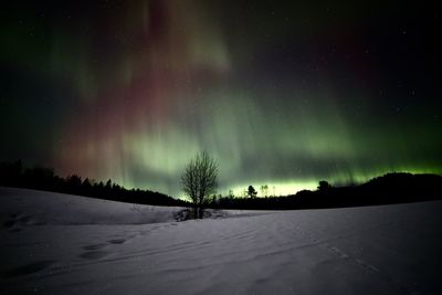 aurora