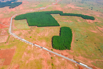 High angle view of road amidst field