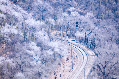 High angle view of road amidst trees during winter