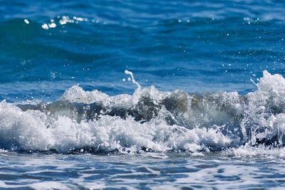 View of birds in sea