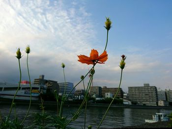 View of city against sky