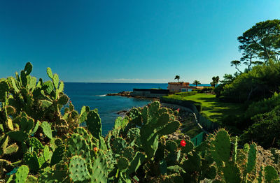 Scenic view of sea against clear blue sky