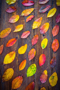 Full frame shot of leaves on wooden table