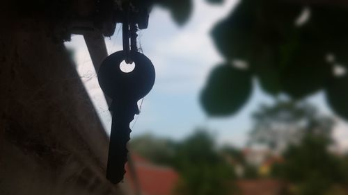 Low angle view of hanging from tree against sky