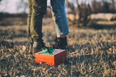 Gift box on grassy land with couple standing in background