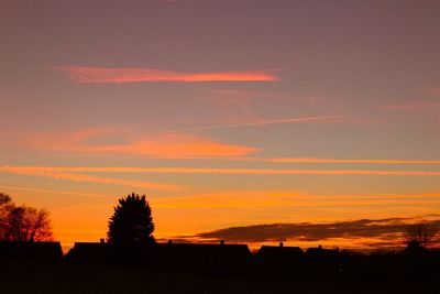 Silhouette trees against sky during sunset