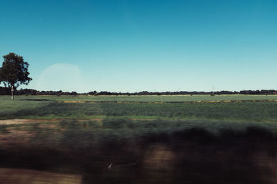 Scenic view of field against clear blue sky