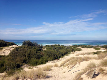 Scenic view of beach against sky