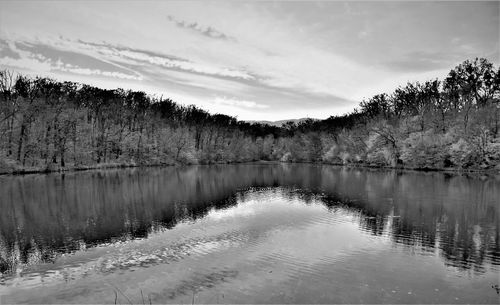 Reflection of trees in lake against sky