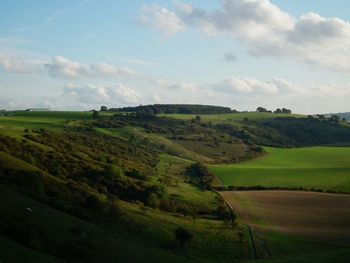 Scenic view of agricultural field against sky