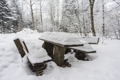 Snow covered field and trees in forest