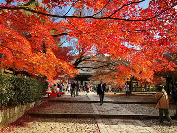 People in park during autumn