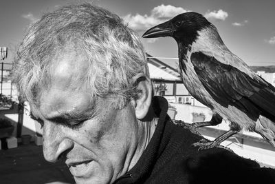 Close-up of crow perching on shoulder