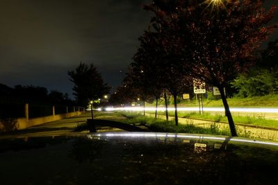 View of park at night