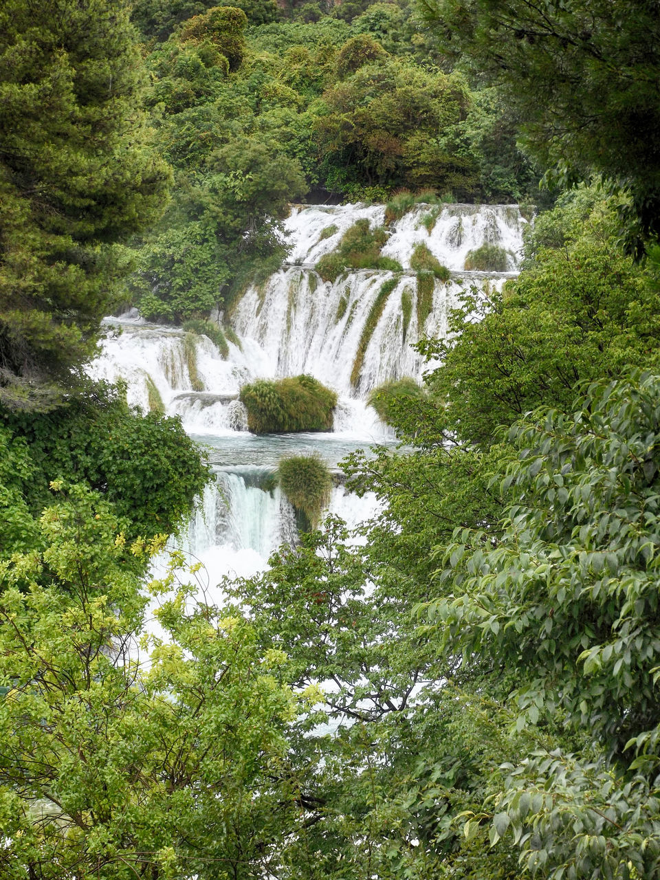 WATERFALL IN FOREST