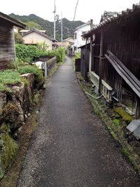 Street amidst trees against sky