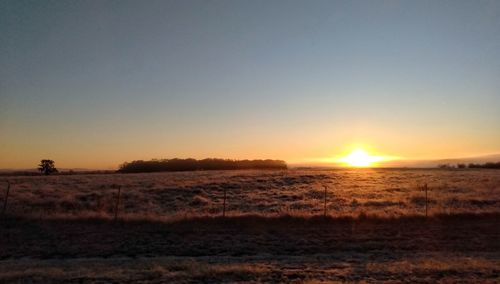 Scenic view of field against clear sky during sunset