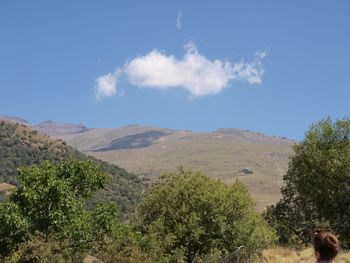 Scenic view of landscape against blue sky