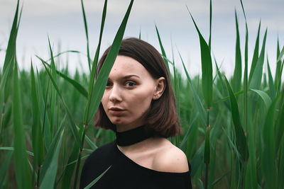 Young woman in the green reed bushes