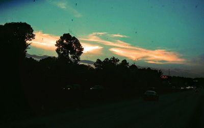 Silhouette of trees at sunset