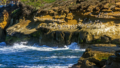 On beach near ocean during daytime at la jolla in san diego,united states.