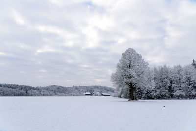 Scenic view of trees against sky during winter
