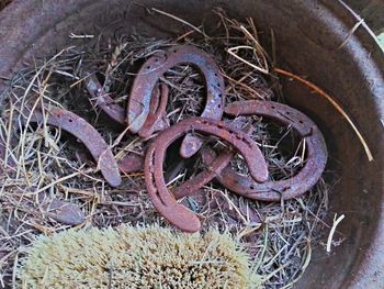 Close-up of rusty bicycle