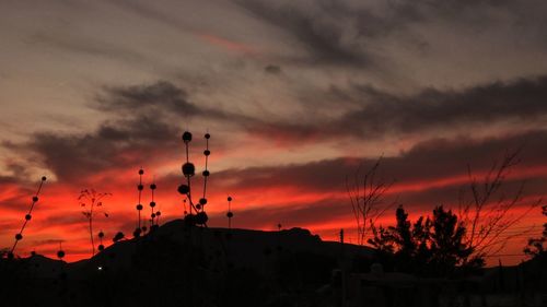 Low angle view of silhouette trees against sky at sunset