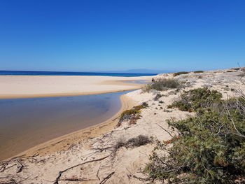 Scenic view of beach against clear blue sky