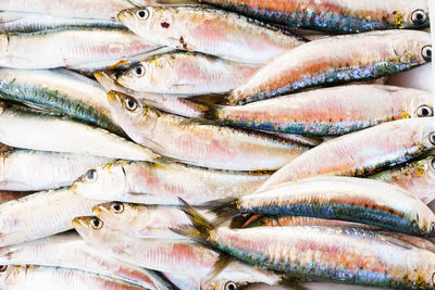 seafood