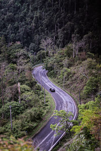 High angle view of road in forest 3
