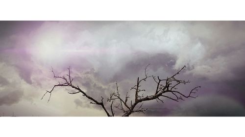 Low angle view of bare trees against cloudy sky