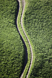 High angle view of field