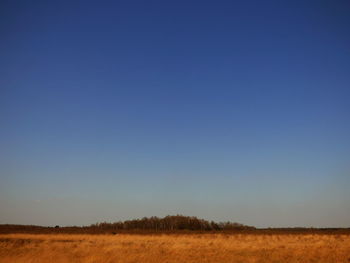 Scenic view of landscape against clear sky
