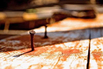 Close-up of rusty nail on wooden table