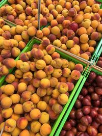 Apricots and nectarines at the fruit market