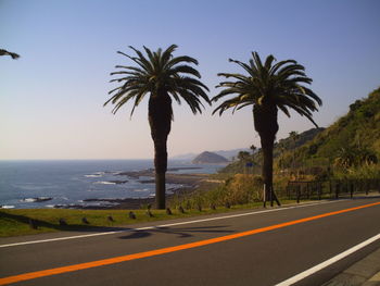 Palm trees by road against sky