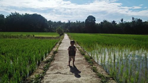 Rear view of person on agricultural field against sky