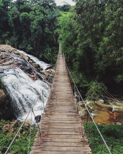 Footbridge amidst trees in forest