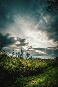 Scenic view of grassy field against cloudy sky