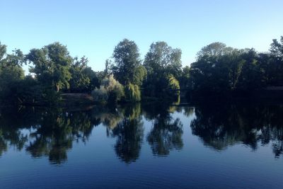 Reflection of trees in water