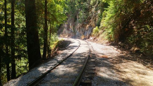 Empty road passing through forest