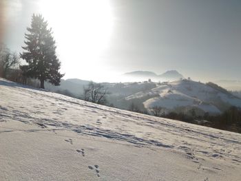 Scenic view of landscape against sky during winter