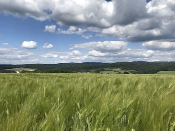 Scenic view of field against sky